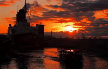 ディズニーで初日の出