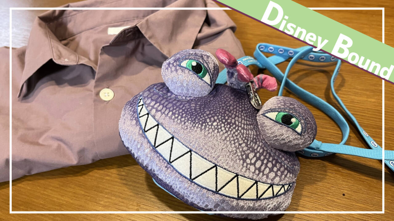 ディズニー バウンドコーデと仮装の違いって オシャレしてインパ満喫 こだわりファッション紹介 Tdrハック
