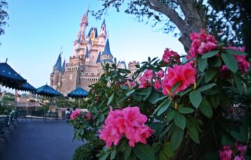 東京ディズニーランド